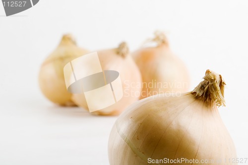 Image of Onion Group