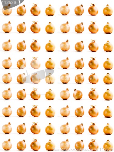 Image of Onion Background