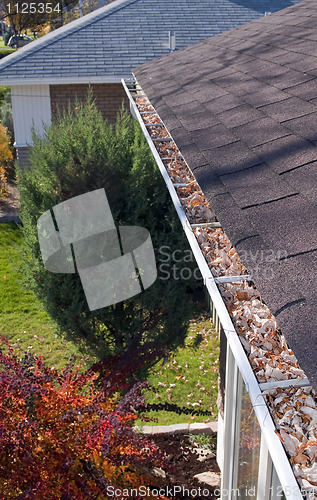 Image of Leaves in rain gutter.