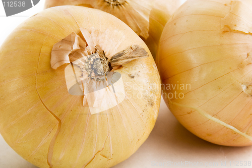 Image of Onion Group