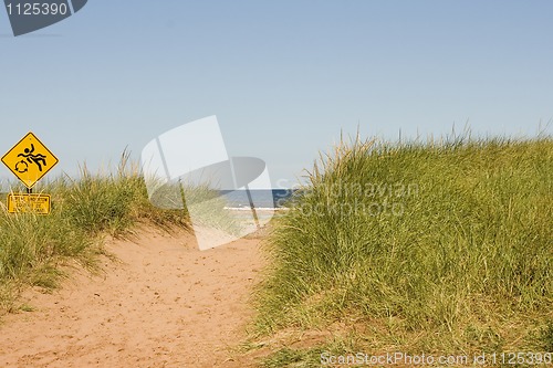 Image of Sand Dune