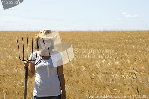 Image of Girl  in  grain field