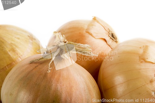 Image of Onion Group