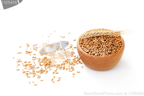 Image of bowl of wheat