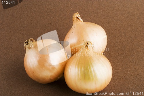 Image of Onion