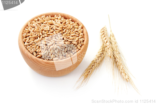 Image of bowl of wheat