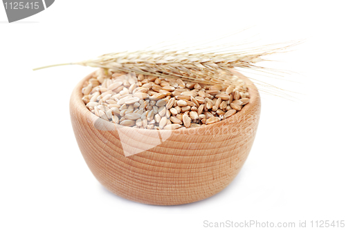 Image of bowl of wheat