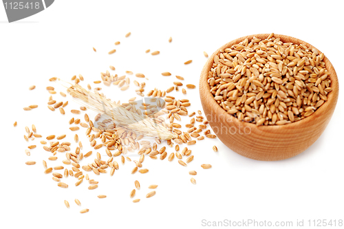 Image of bowl of wheat