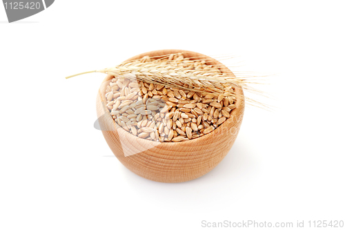 Image of bowl of wheat