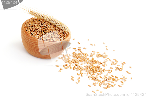 Image of bowl of wheat