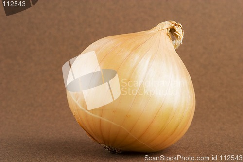 Image of Onion