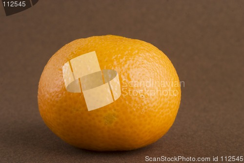 Image of Christmas Orange