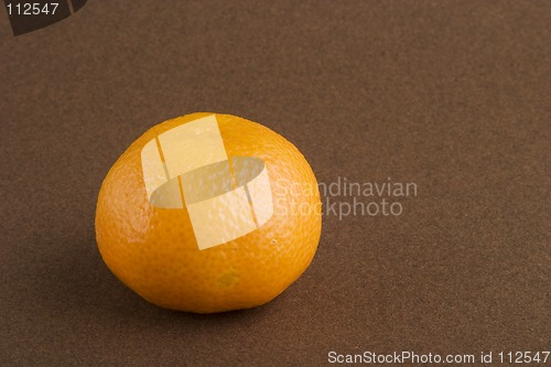 Image of Christmas Orange