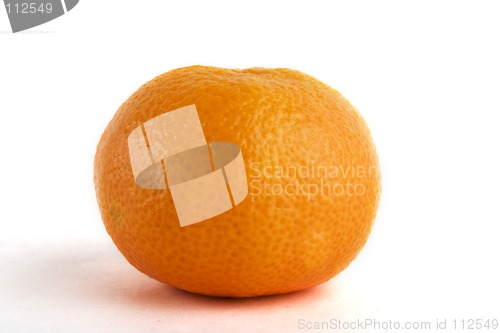 Image of Christmas Orange