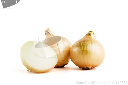 Image of Onion Group
