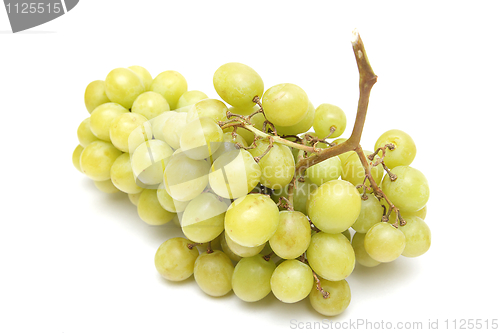 Image of Grapes