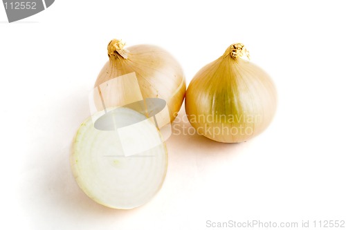 Image of Onion Group