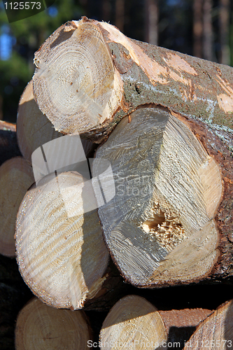 Image of Wooden Logs Stacked, Vertical View