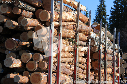 Image of Wood Logs on Truck Trailer