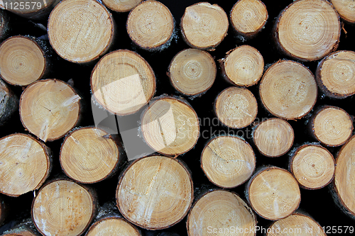 Image of Cut Wooden Logs Background