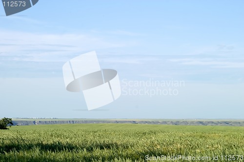 Image of Oats Landscape