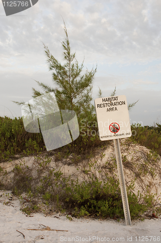 Image of Habitat Restoration Area