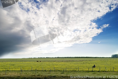 Image of Prairie Summer Landscape
