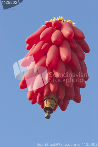 Image of Hot Air Balloon