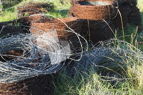 Image of Barbed Wire Texture