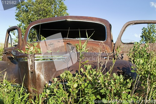 Image of Overgrown Antique Car