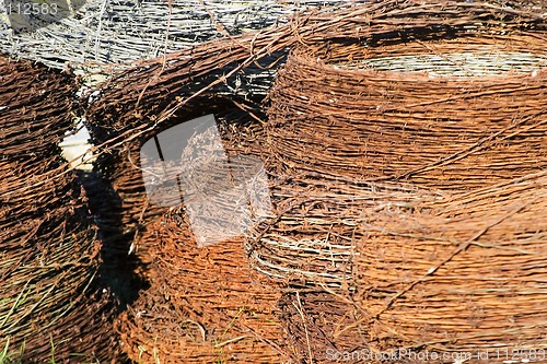 Image of Barbed Wire Texture