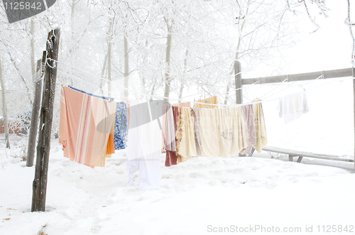 Image of Laundry on clothesline