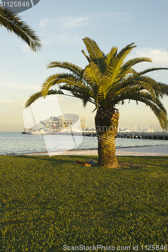 Image of St. Petersburg Pier 