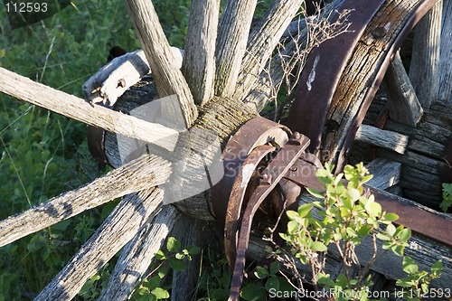 Image of Wagon Wheel
