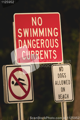 Image of No Swimming No Dogs