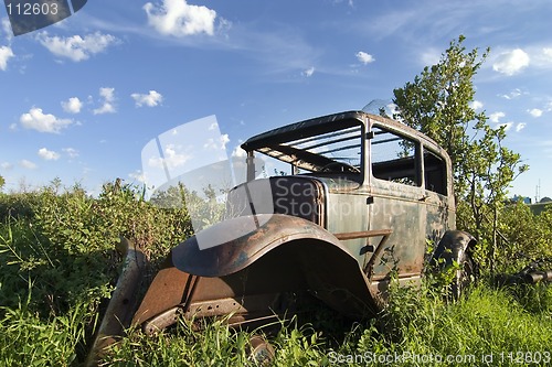 Image of Overgrown Antique Car