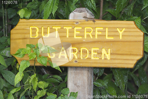 Image of Butterfly Garden sign