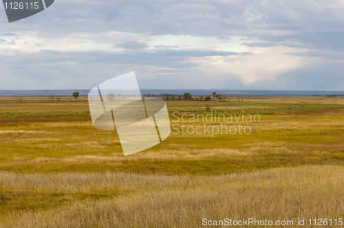 Image of Marsh or Open Wetland