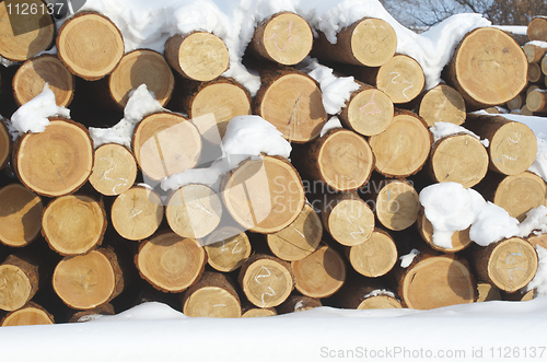 Image of Pile of logs at sawmill 