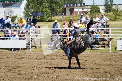 Image of Bare Back Riding