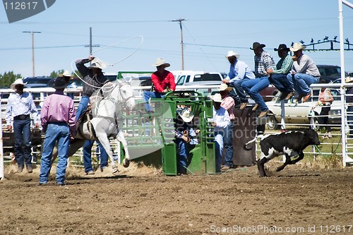 Image of Calf Roping