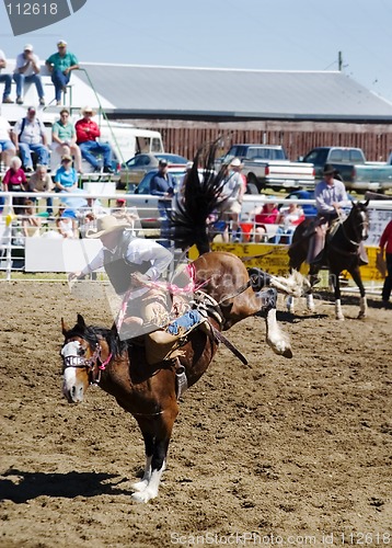 Image of Saddle Bronc