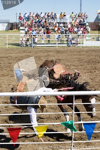 Image of Saddle Bronc