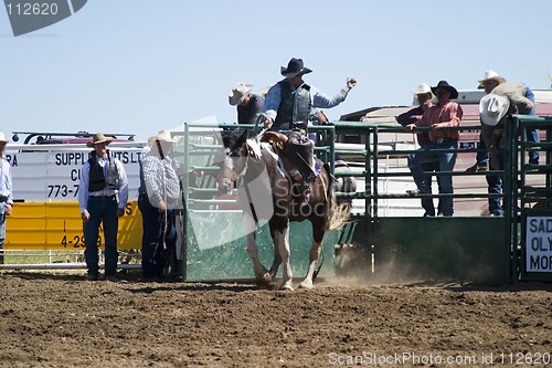 Image of Saddle Bronc