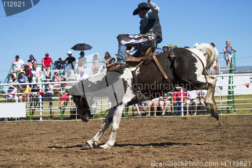 Image of Saddle Bronc