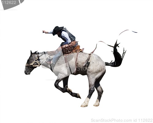 Image of Saddle Bronc with Clipping Path