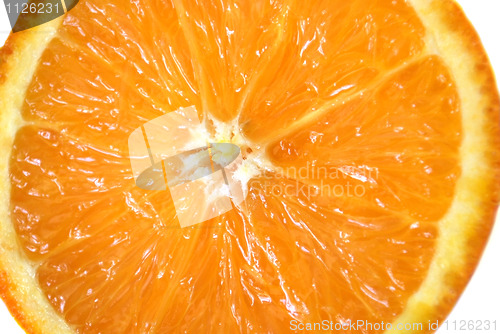 Image of orange