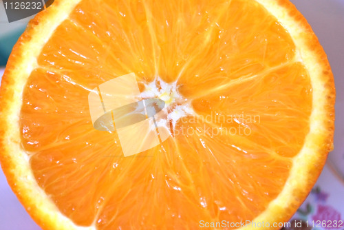 Image of orange