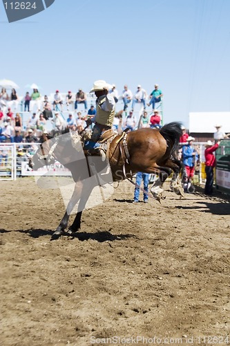 Image of Saddle Bronc