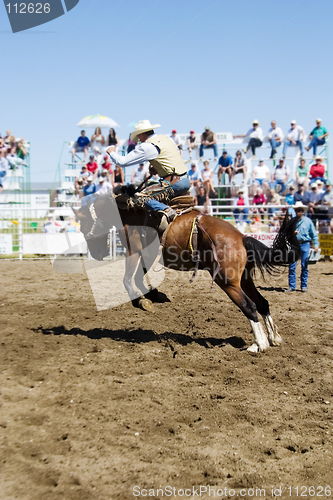 Image of Saddle Bronc